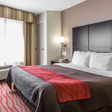 Comfort Inn Los Angeles Near Hollywood Eksteriør billede