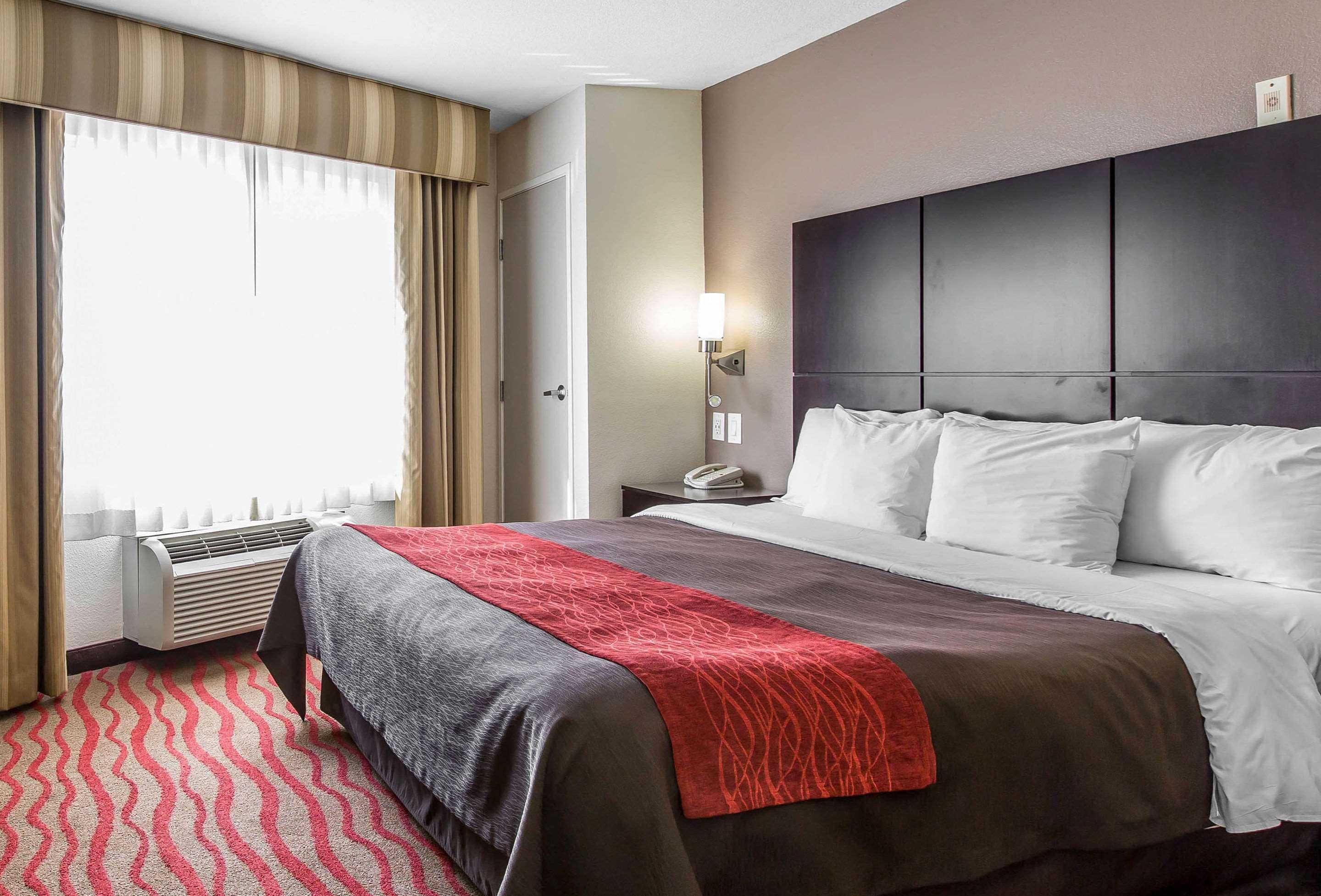 Comfort Inn Los Angeles Near Hollywood Eksteriør billede